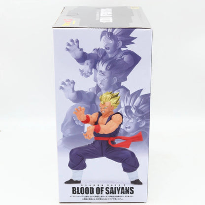 Dragon Ball Z Super Saiyan Son Gohan Blood Of Saiyans Figure 17cm Banpresto